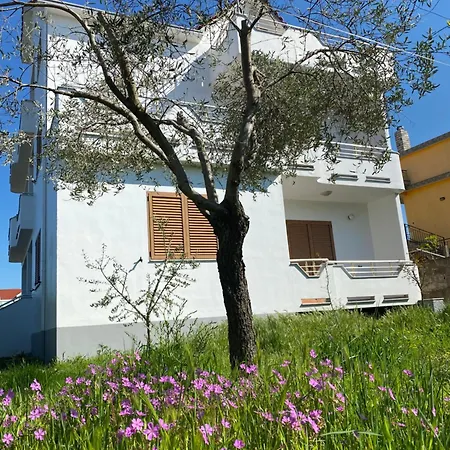 Kiwi - Near City Center Shkodër